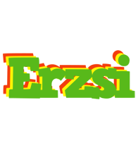 Erzsi crocodile logo