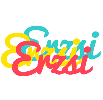 Erzsi disco logo