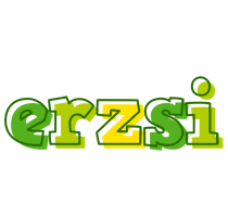 Erzsi juice logo