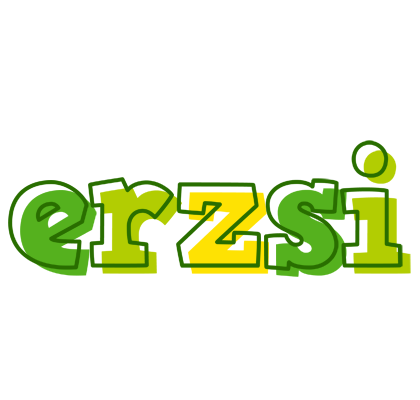 Erzsi juice logo