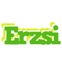 Erzsi picnic logo