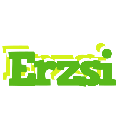 Erzsi picnic logo