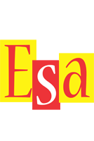 Esa errors logo