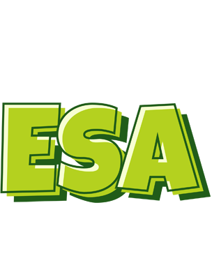Esa summer logo