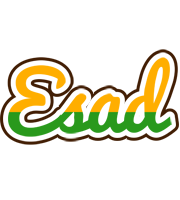 Esad banana logo