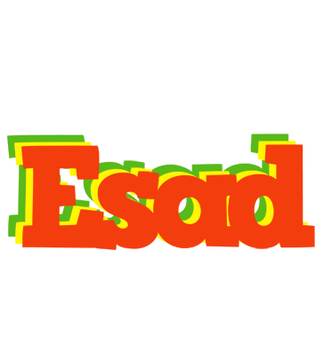Esad bbq logo