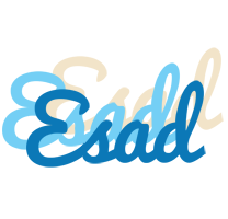 Esad breeze logo