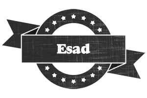 Esad grunge logo