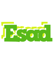 Esad picnic logo