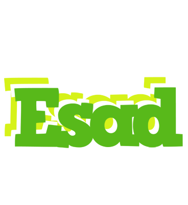 Esad picnic logo