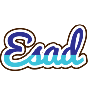 Esad raining logo