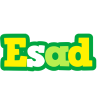 Esad soccer logo