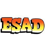 Esad sunset logo