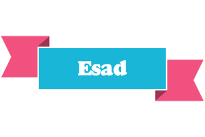 Esad today logo