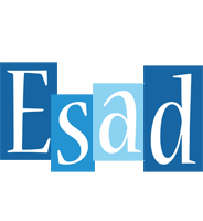 Esad winter logo