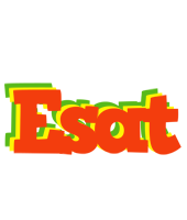 Esat bbq logo