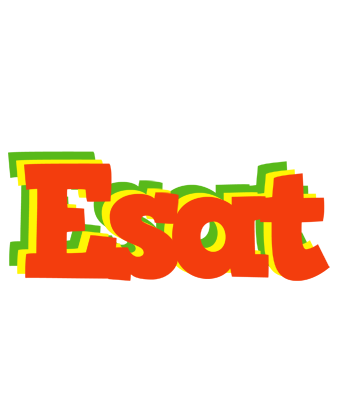 Esat bbq logo