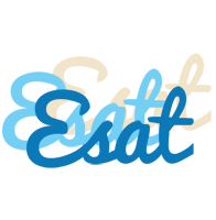 Esat breeze logo