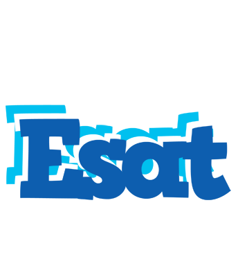 Esat business logo