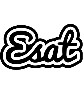 Esat chess logo