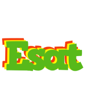 Esat crocodile logo