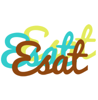 Esat cupcake logo