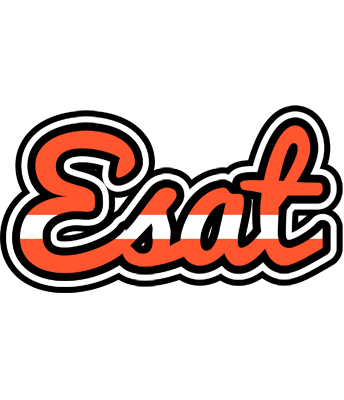 Esat denmark logo