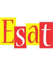 Esat errors logo