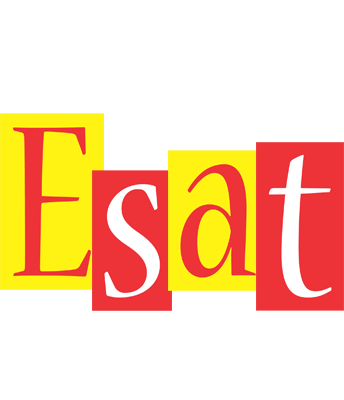 Esat errors logo