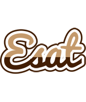 Esat exclusive logo