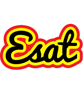 Esat flaming logo