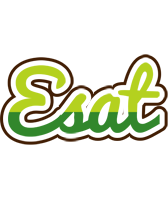 Esat golfing logo