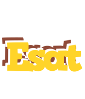 Esat hotcup logo