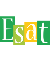 Esat lemonade logo