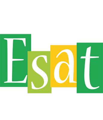 Esat lemonade logo