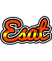 Esat madrid logo