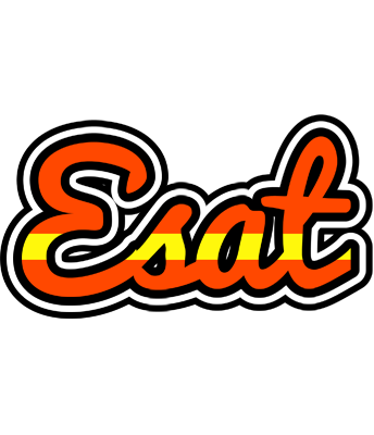 Esat madrid logo