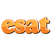 Esat orange logo