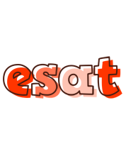 Esat paint logo