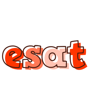 Esat paint logo