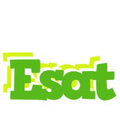 Esat picnic logo