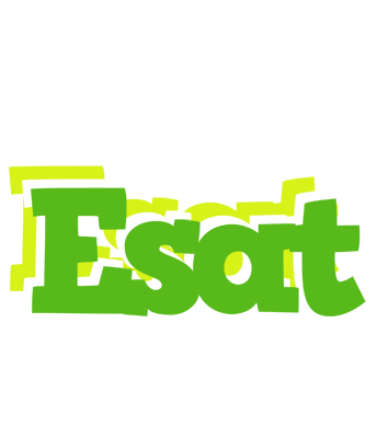 Esat picnic logo