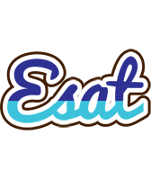 Esat raining logo