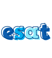 Esat sailor logo