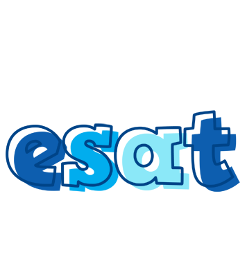 Esat sailor logo