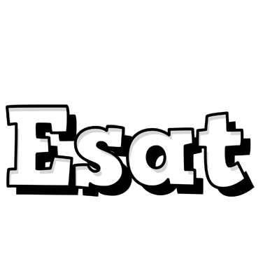 Esat snowing logo