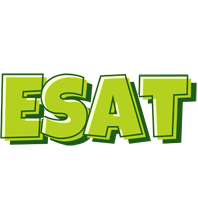 Esat summer logo