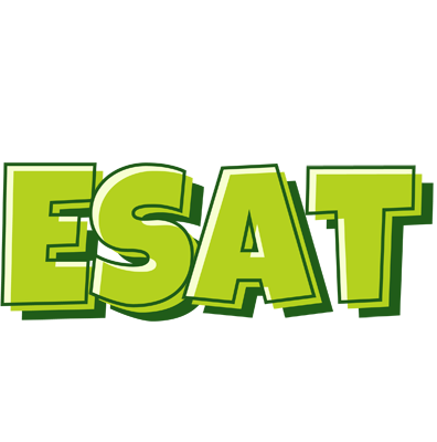 Esat summer logo