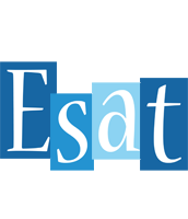 Esat winter logo