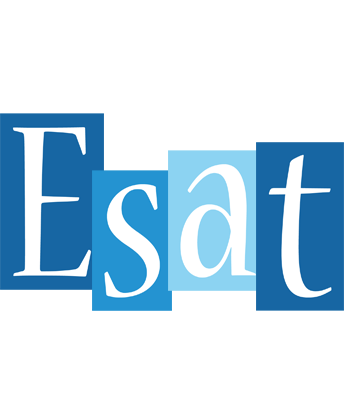 Esat winter logo